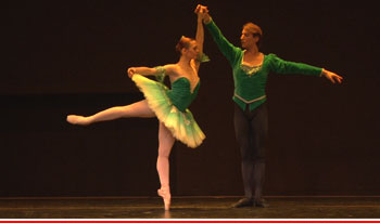 Ballet En Gala